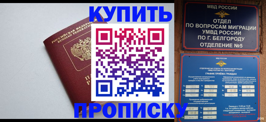 прописка регистрация в Щёкино